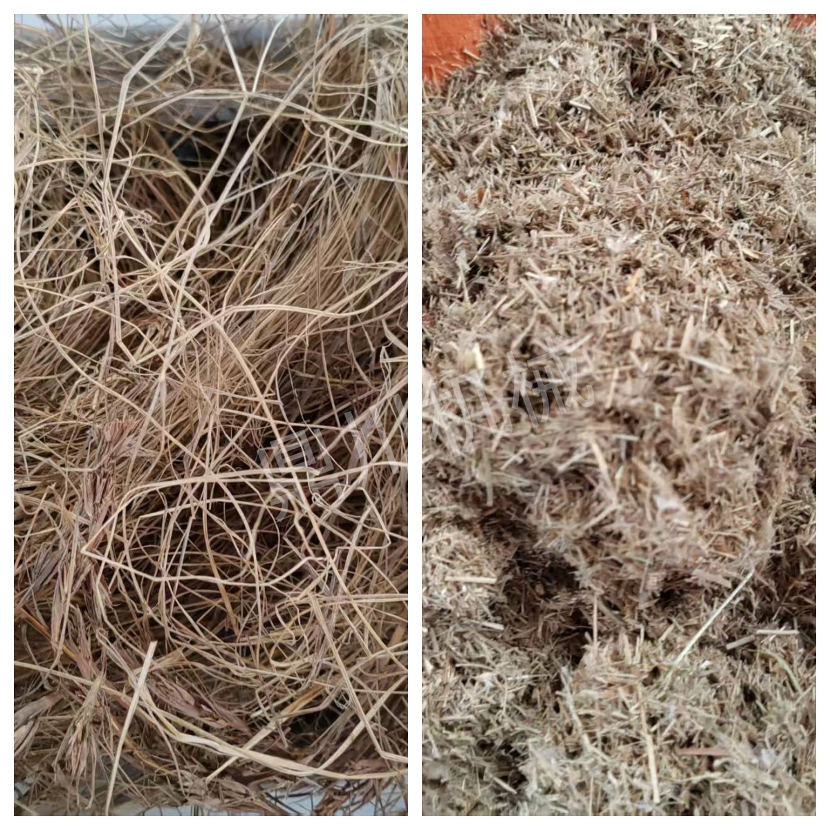 干草切斷效果對比